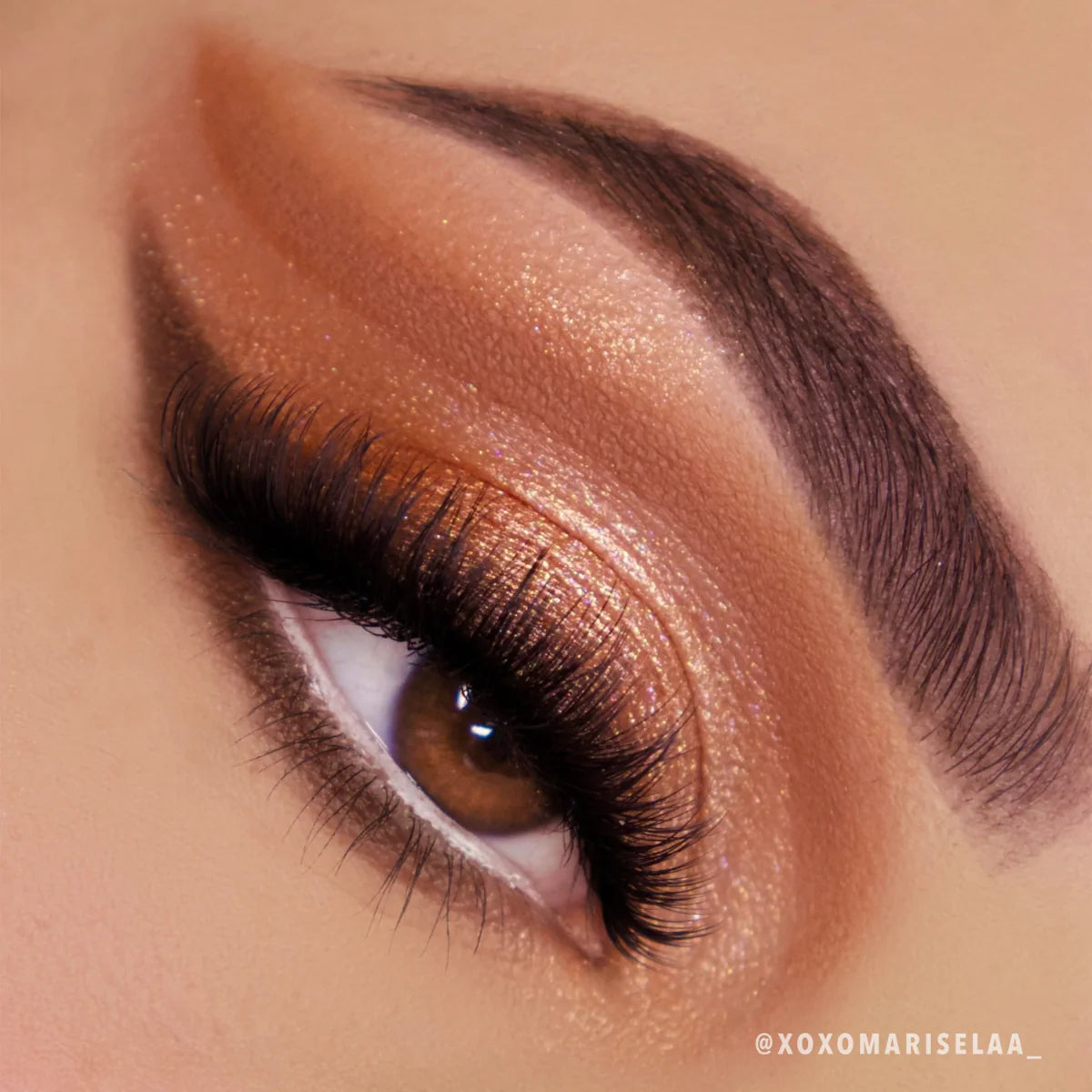 Paleta Chasing Eternity Moira