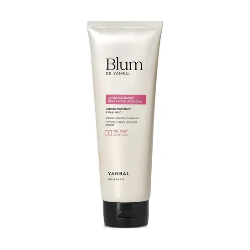 Acondicionador Reparación Blum